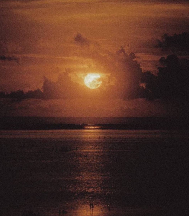 Sweet dreams beautiful hearts.