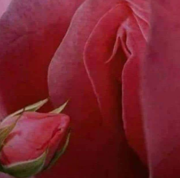 Meet me at the edges of resistance